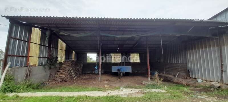 Maison à LURCY-LEVIS