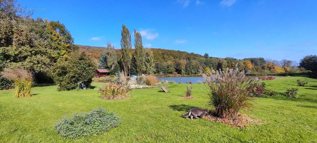 Maison à ROUGEMONT-LE-CHATEAU