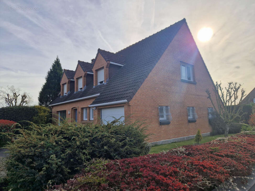Maison à TETEGHEM