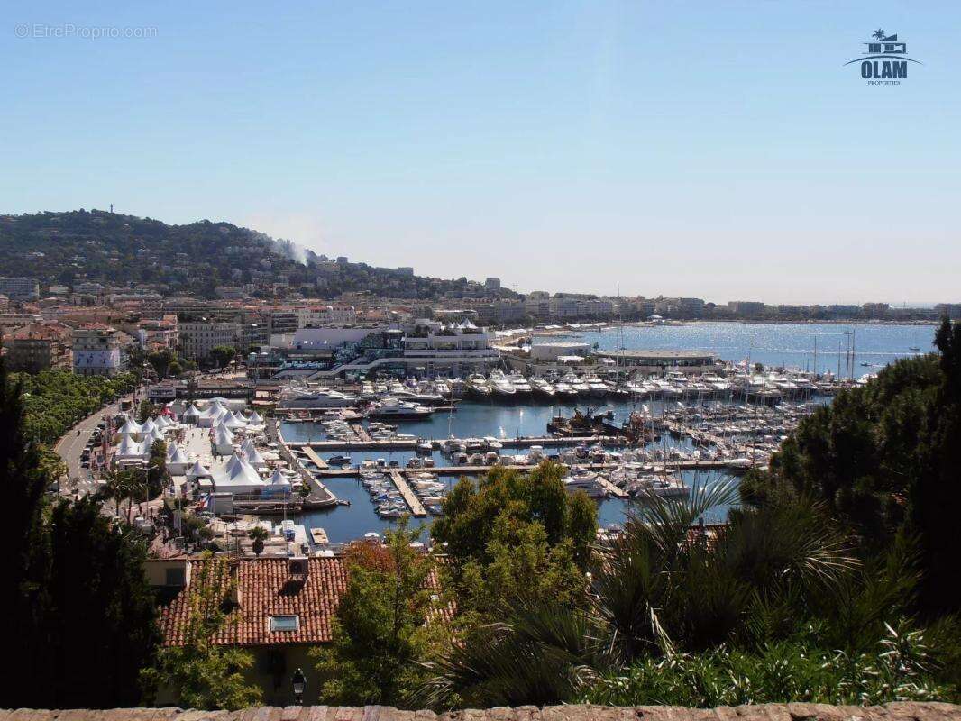 Fonds de commerce Boutique / Showroom , accessoires et décoration, Cannes centre ville - photo 2