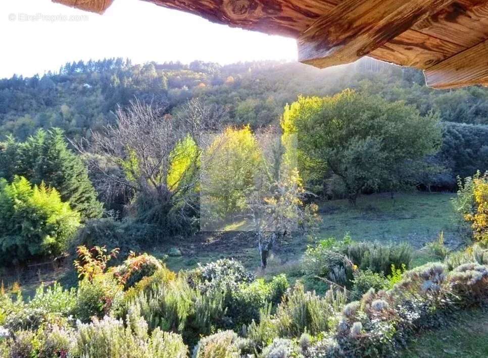 Maison à SAINT-GERMAIN-DE-CALBERTE