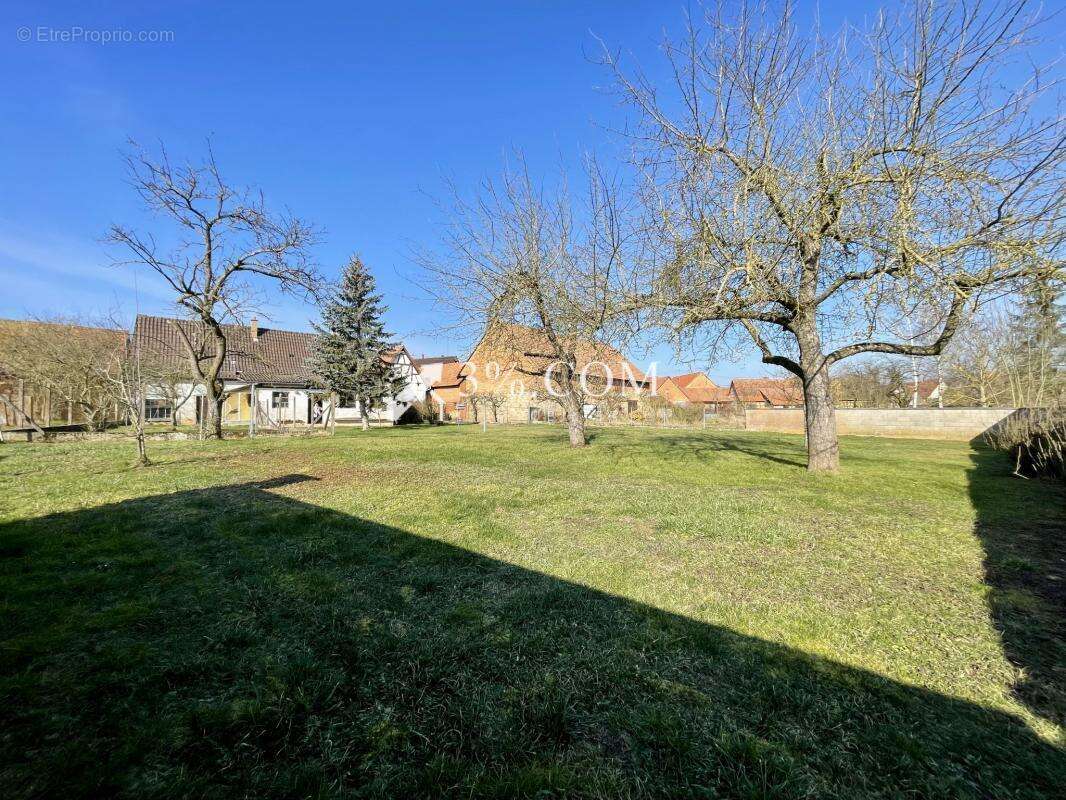 Maison à ALTECKENDORF