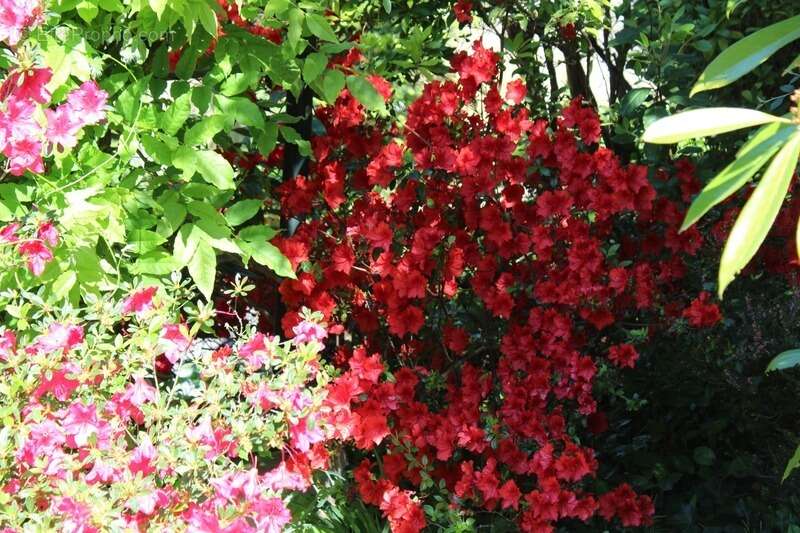 Maison à VERSAILLES