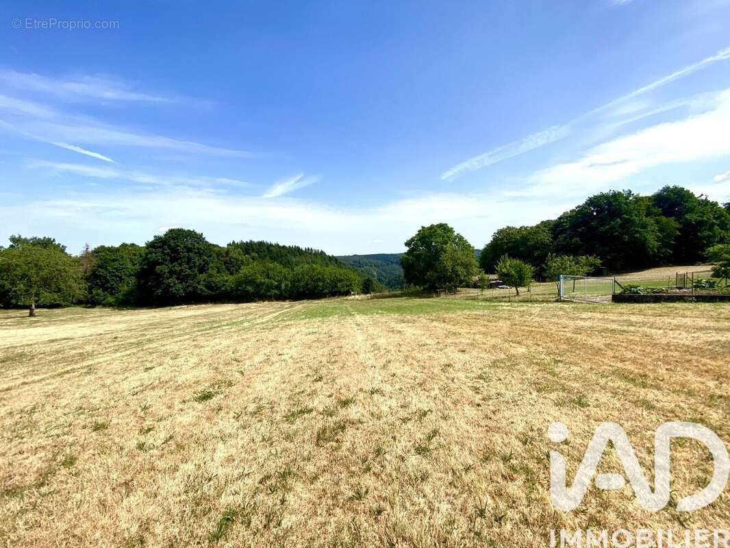 Photo 6 - Terrain à HOMMERT