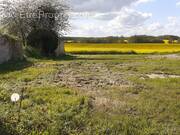 Terrain à CHATEAUNEUF-EN-THYMERAIS