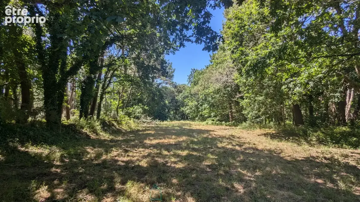 Maison familiale de 5 chambres à rénover  Sous-sol complet  Terrain de 8 291 m²  À 1,6 km de la Petite Mer de Gâvres - photo 20