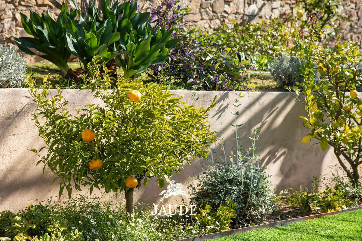 Maison à PLAN-DE-LA-TOUR