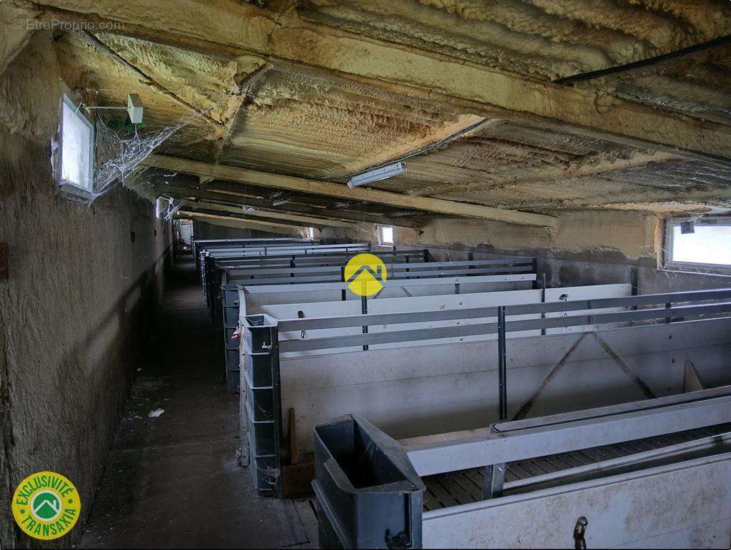 Bâtiments 1360m2  à côté de D1 - photo 14