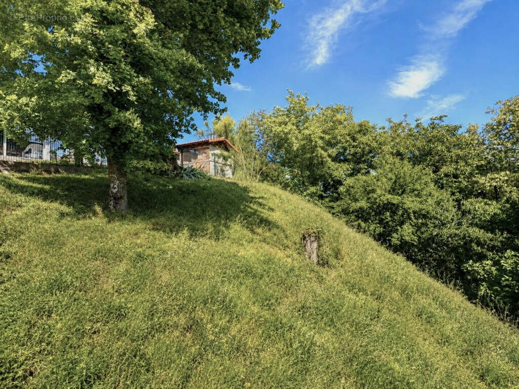 01320 CHATILLON-LA-PALUD   Maison 3 chambres avec vue panoramique, garage, dépendances et terrain   Idéale pre - photo 2