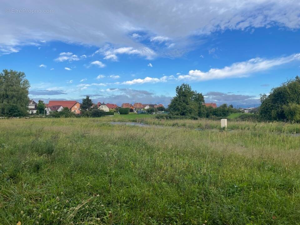Terrain à DANNEMARIE