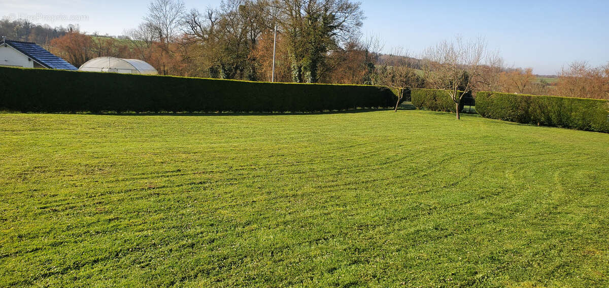 Maison à XAFFEVILLERS