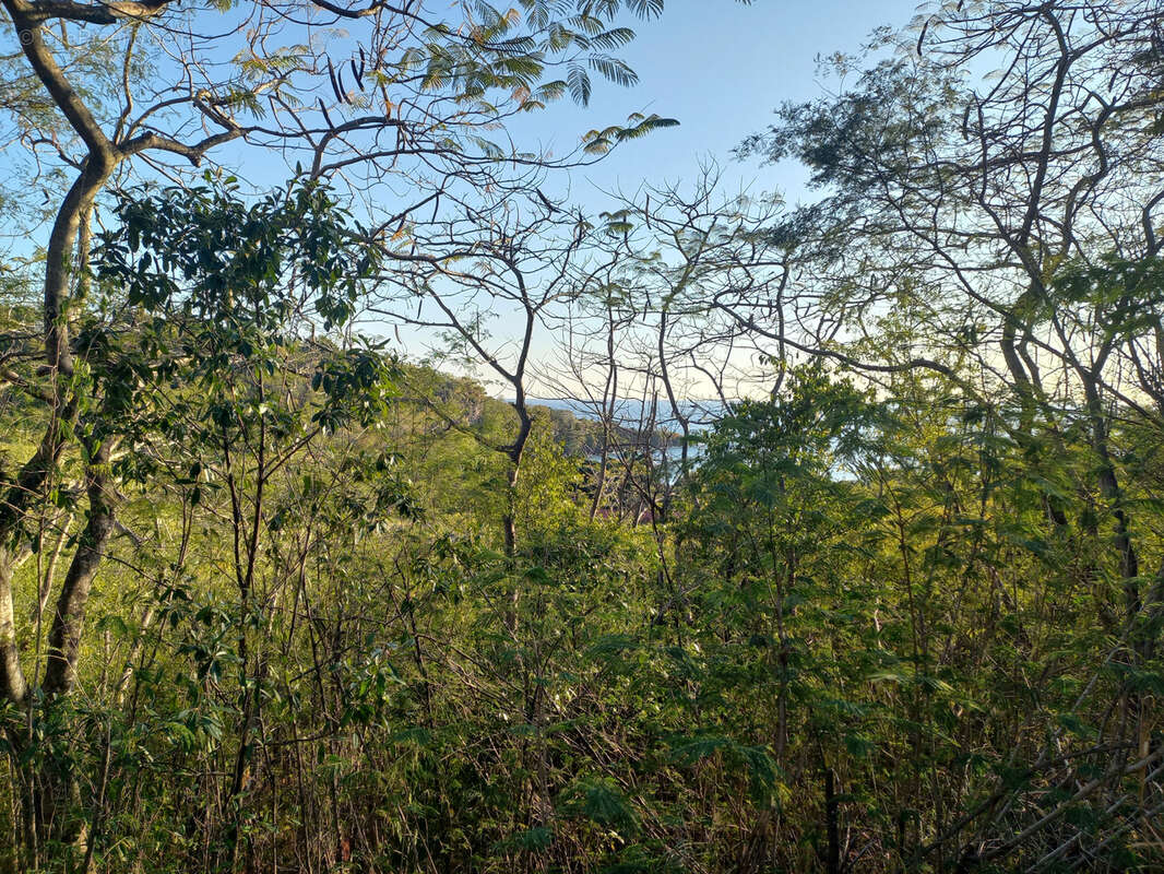 Terrain à BOUILLANTE