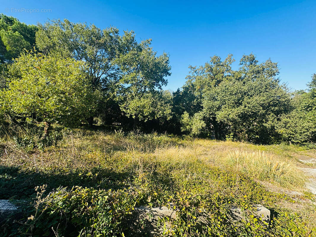 VAUVERT-TERRAIN A BATIR viabilisé hors lotissement- 692 m2 - photo 2