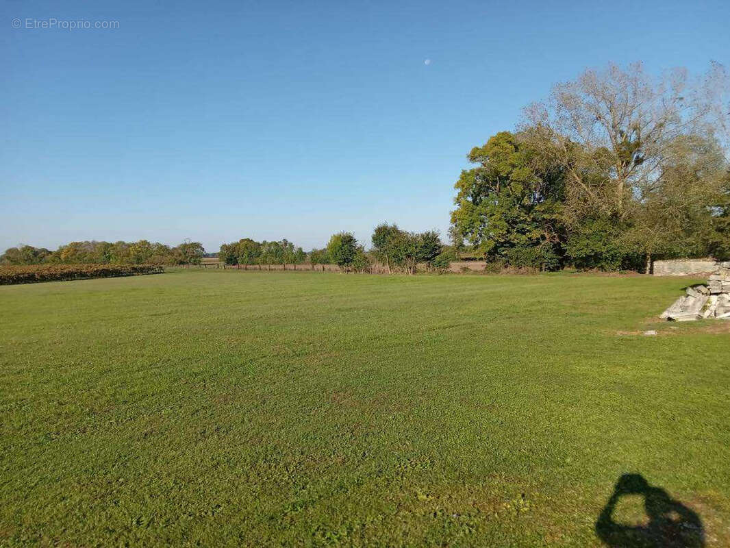 Maison à MACQUEVILLE