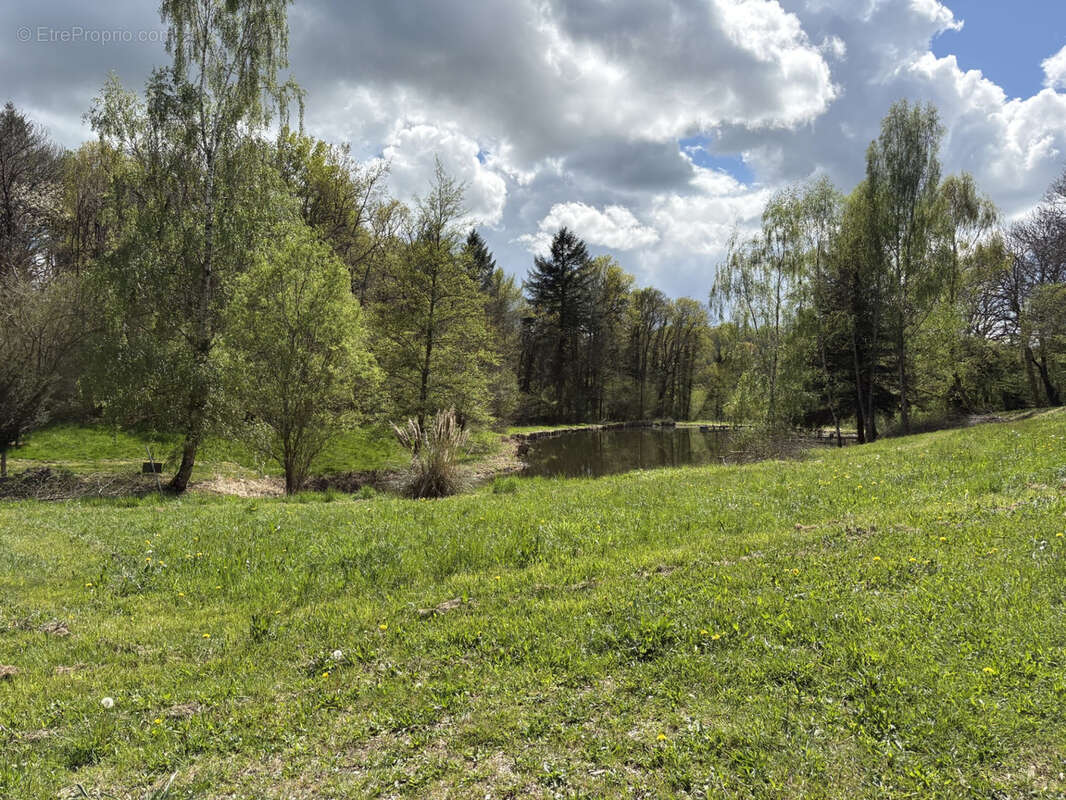 Maison à CHATEAU-CHERVIX