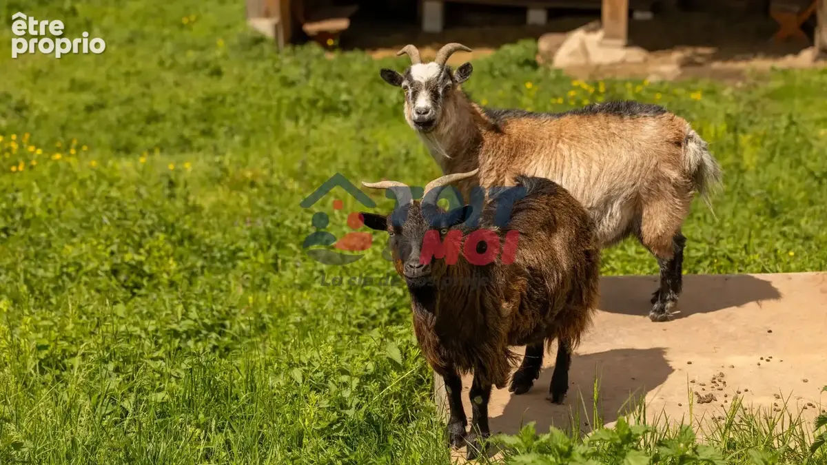 Propriété de caractère avec gîte indépendant - photo 6