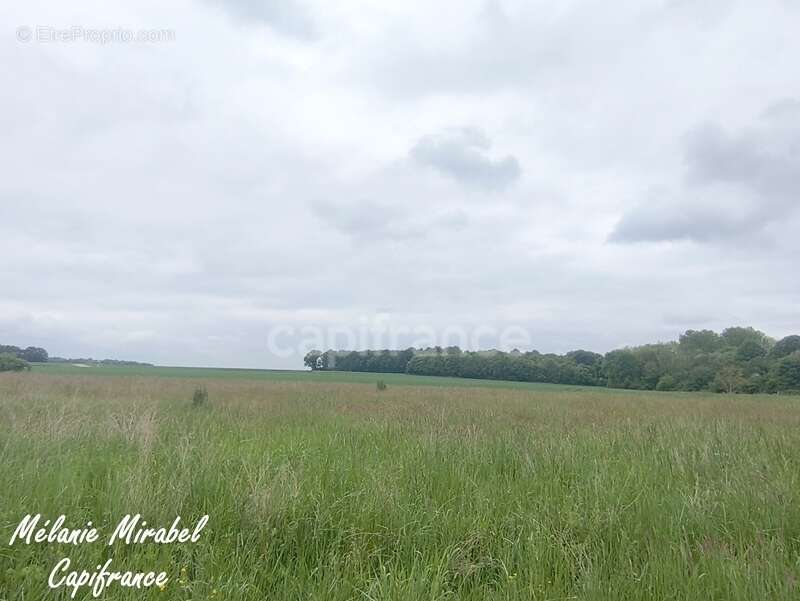 Terrain à COURDEMANCHE