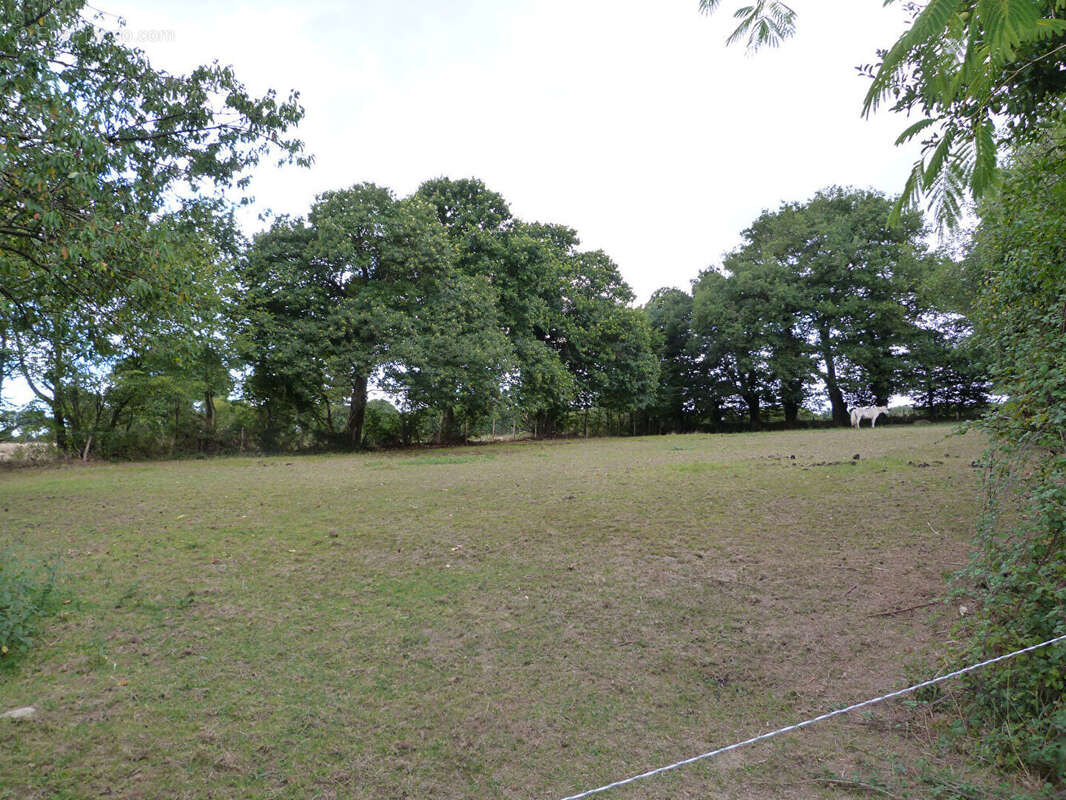 Maison à COSSE-LE-VIVIEN