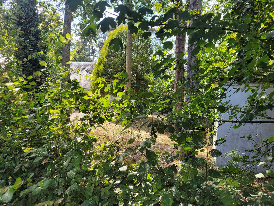 Maison à SAINT-AVERTIN