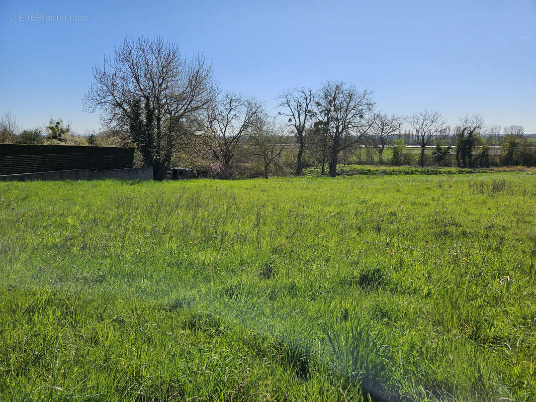 Terrain à ALLEREY-SUR-SAONE