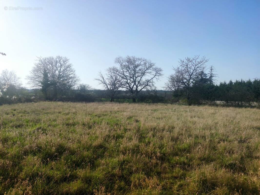 Terrain à BIZENEUILLE
