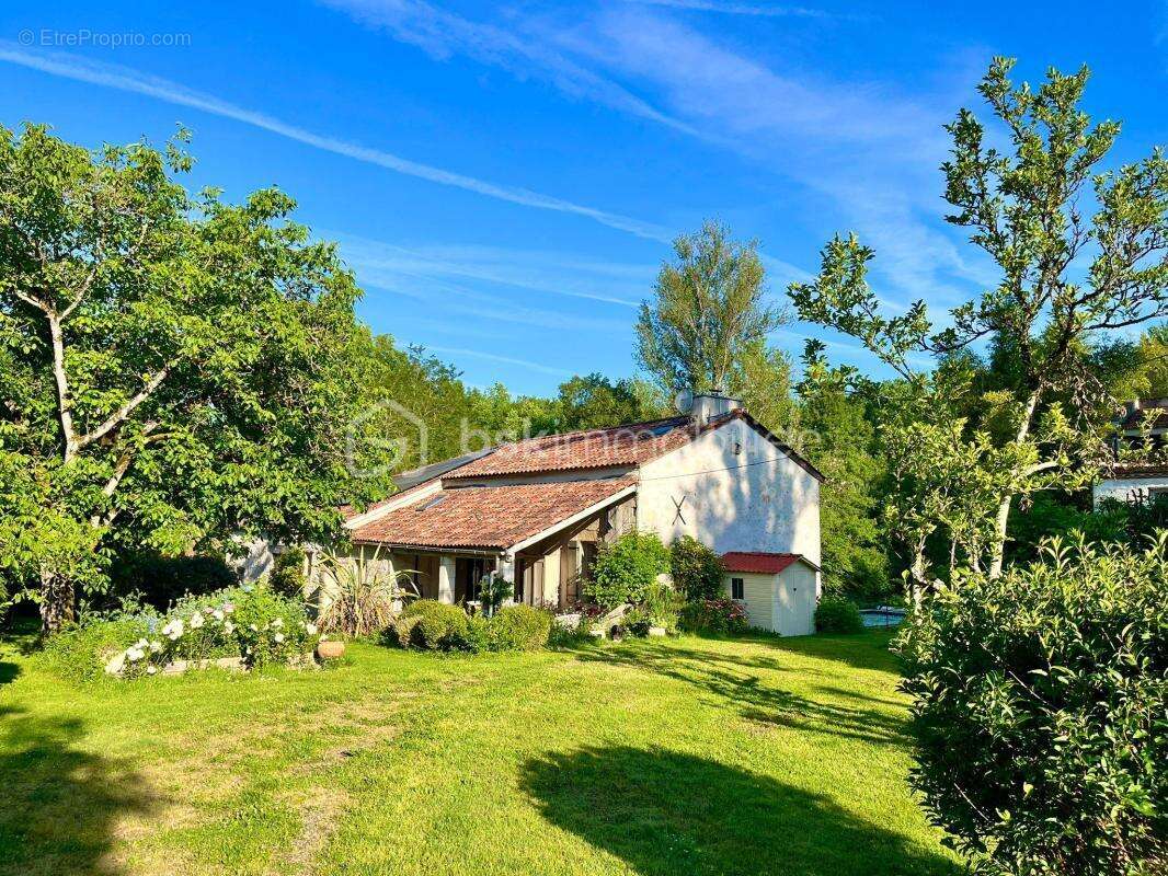 Maison en pierre + gite - etang- 2 piscines- parcelle 8745 m² -st pierre de clairac - photo 2