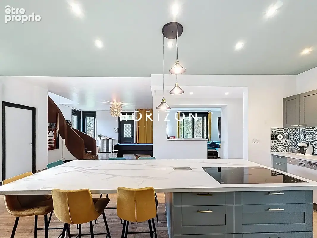 Maison 7 pièces 202 m² à vendre à Saint-Didier-Sur-Chalaronne (01140) - photo 2