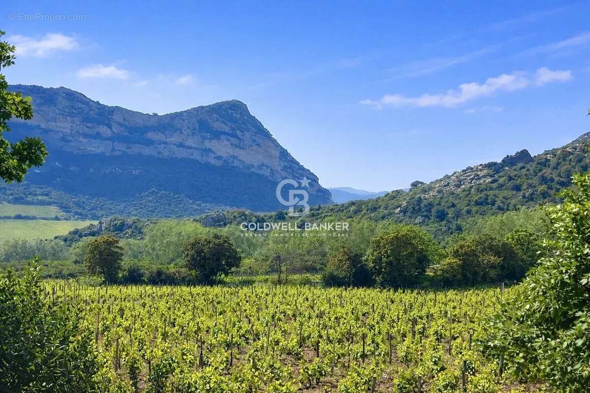 Maison à SAINT-FLORENT