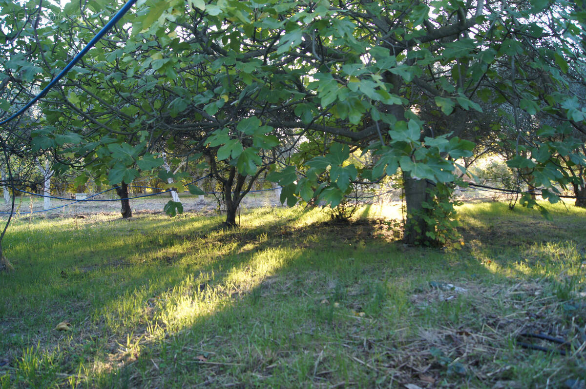 Terrain à SAINT-RESTITUT