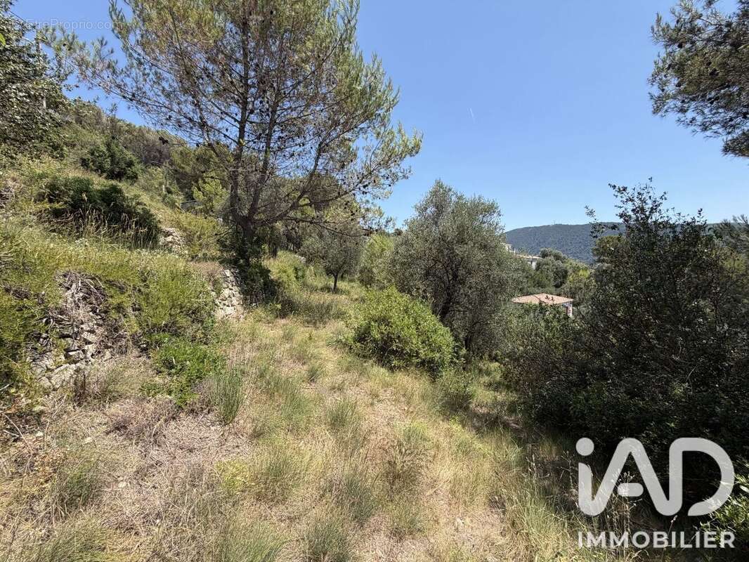 Terrain 2492 m² à Drap  - photo 3