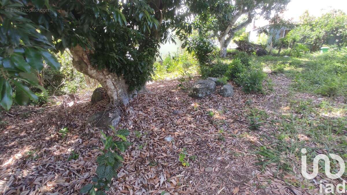 Photo 4 - Terrain à SAINT-LOUIS