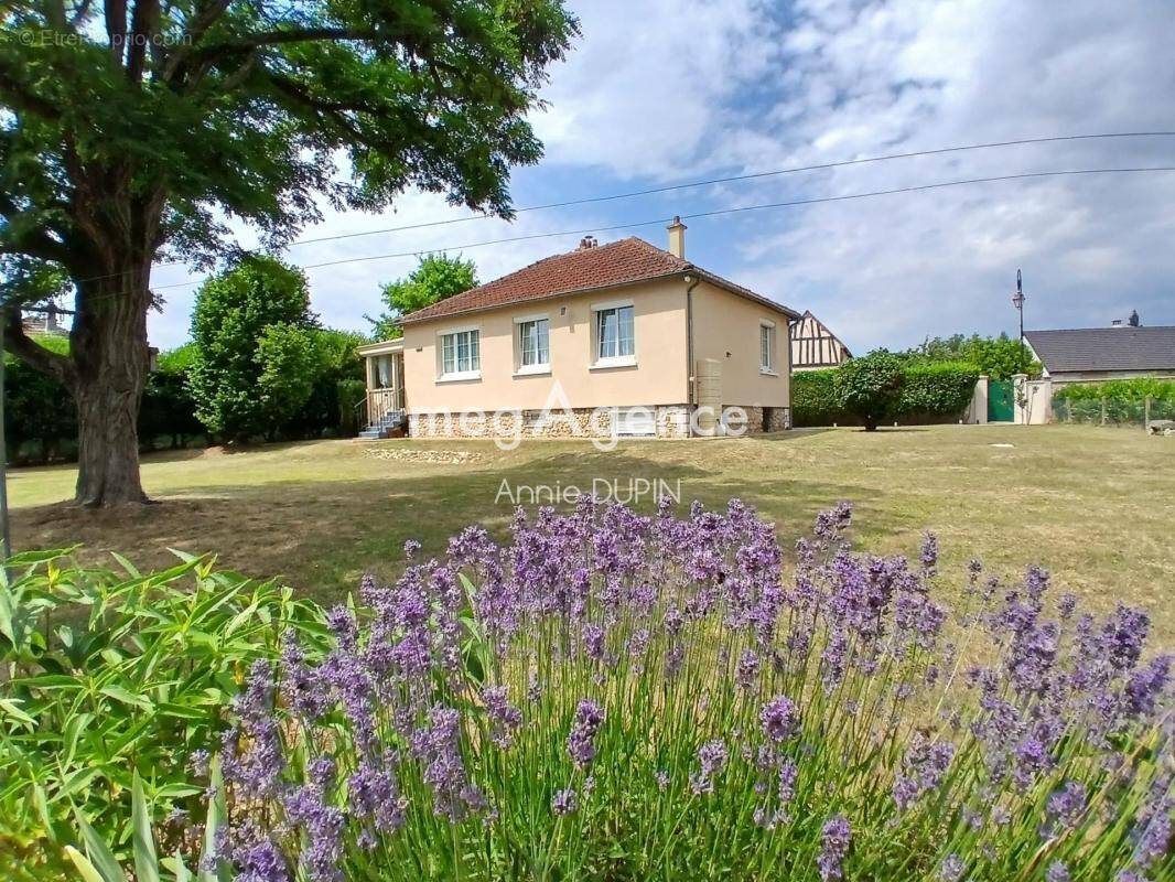 Maison à MESNIL-SUR-L'ESTREE