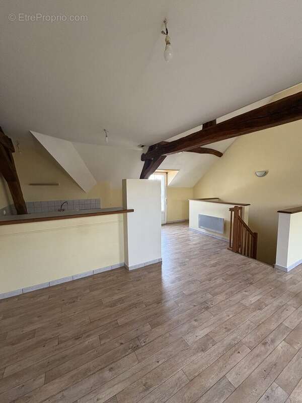 Appartement à LA CHAPELLE-SAINT-MESMIN