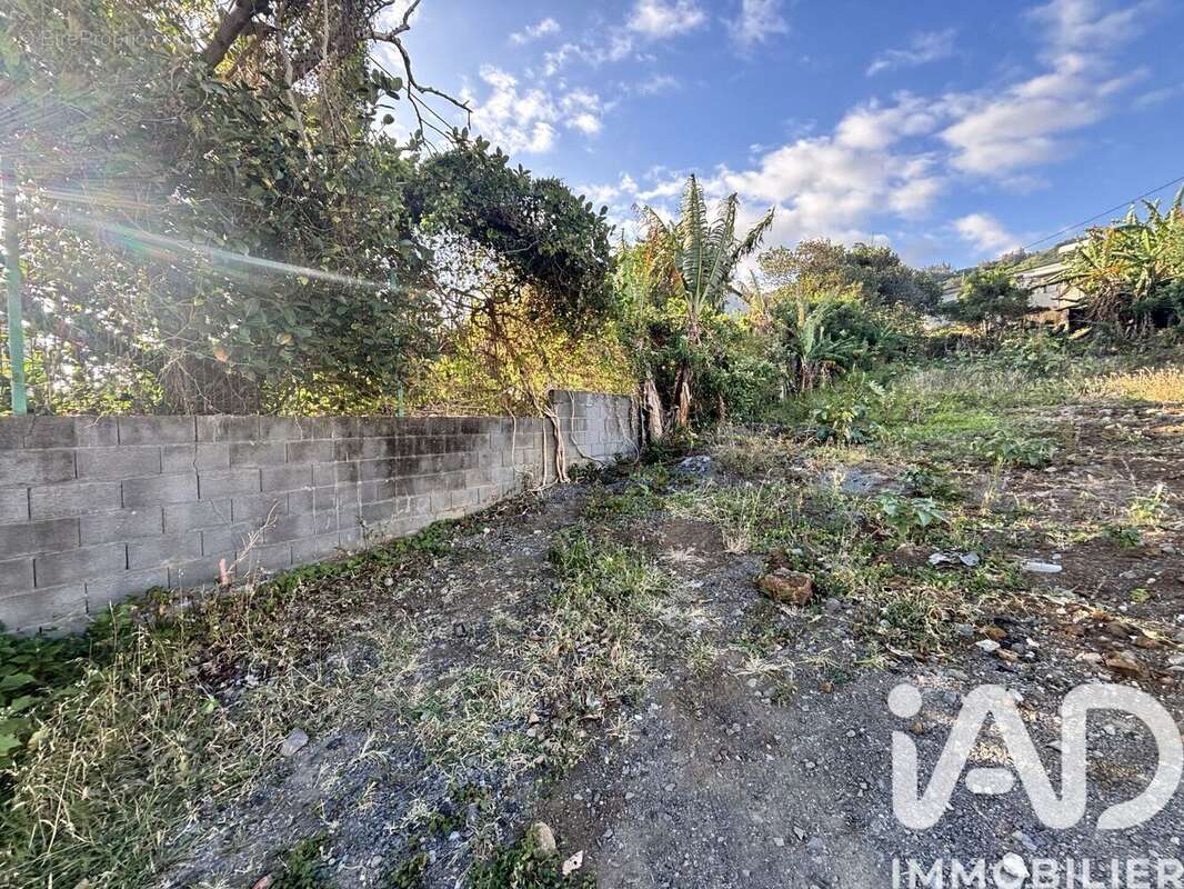 Photo 3 - Terrain à SAINT-JOSEPH