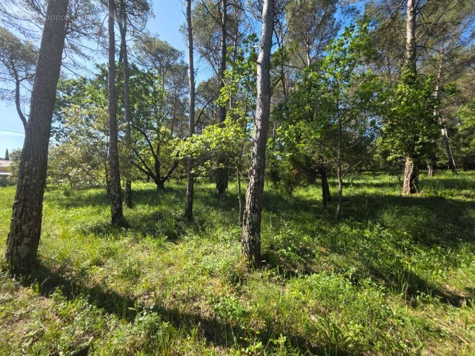 Terrain 874 m² à Gareoult  - photo 6
