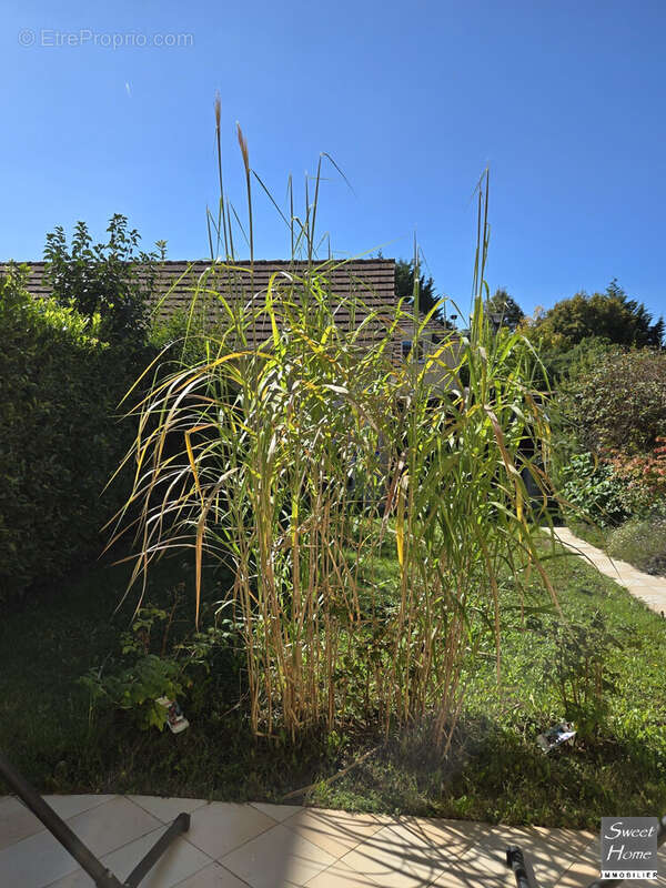 Maison à MAGNY-LES-HAMEAUX
