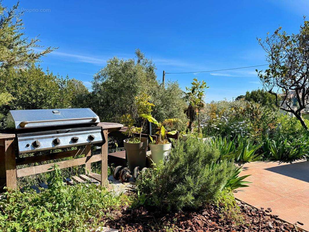 Appartement à VALLAURIS