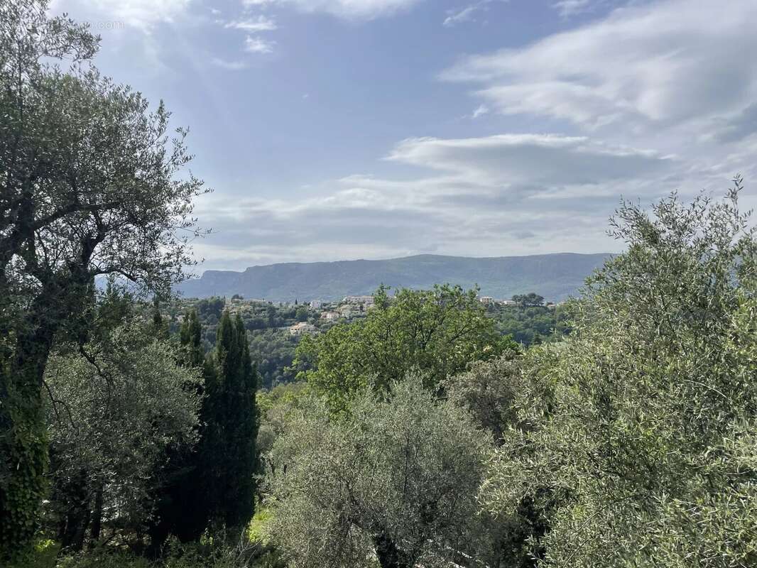 Colomars - La Sirole terrain de 1585m² - photo 5