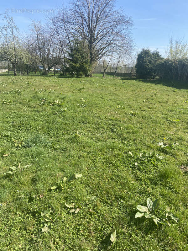 Villers-Châtel : terrain à construire à acheter - photo 2