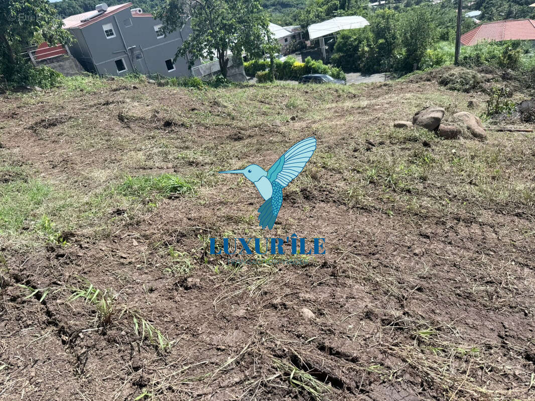 Terrain à LE FRANCOIS