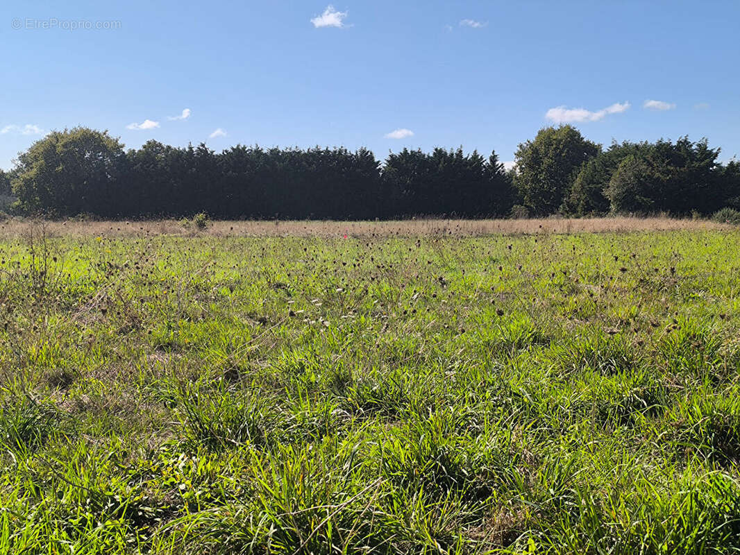 Terrain à COMMEQUIERS