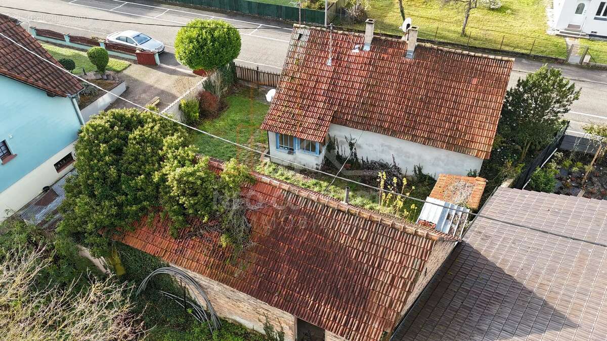 Maison à SESSENHEIM