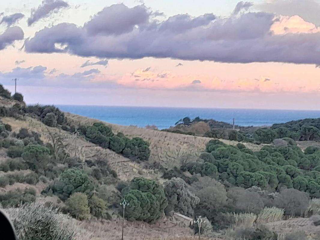 Maison à PORT-VENDRES