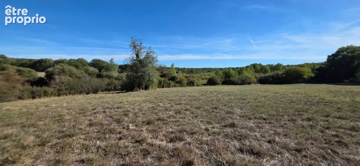 Parc de la Brenne - photo 7