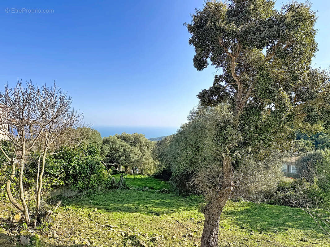 Maison à SARI-SOLENZARA