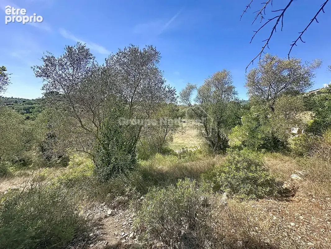 Terrain à vendre Grasse 3034 m² permis accordé et purgé CANTE PERDRIX - photo 2