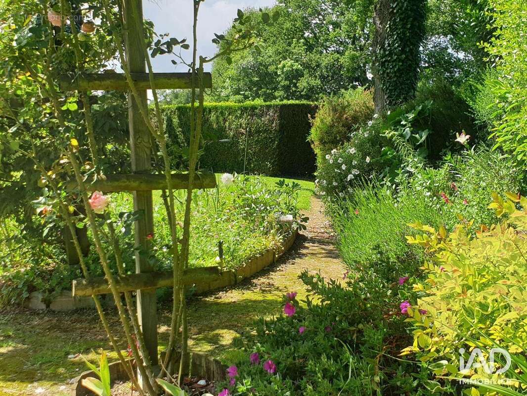 Photo 6 - Maison à SAINT-BERTHEVIN