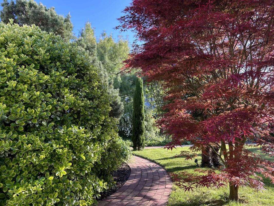 Maison à LA WANTZENAU