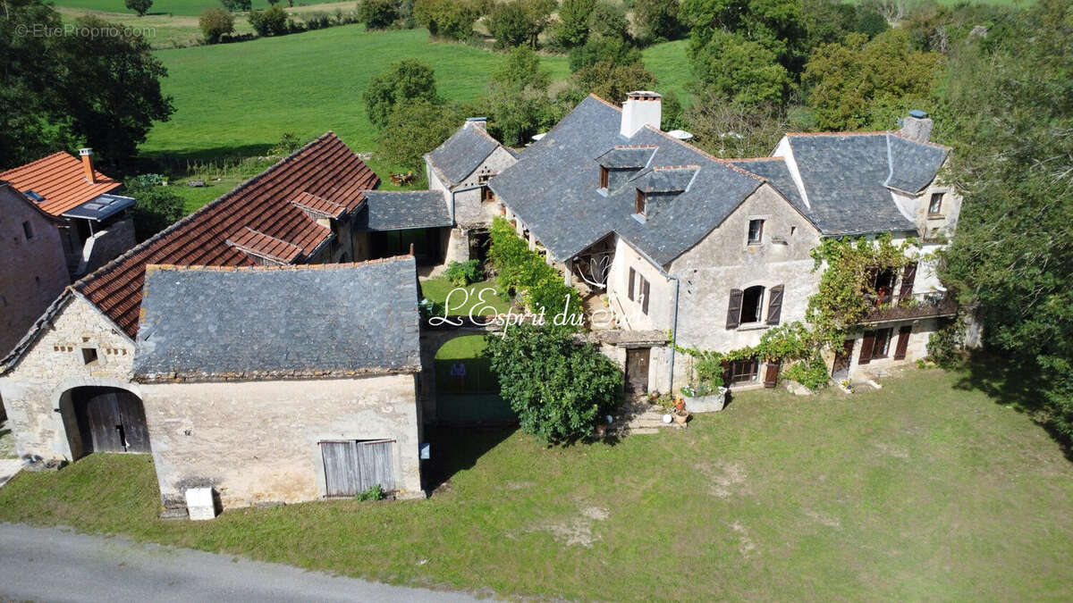 Maison 418 m² à Castanet  - photo 2