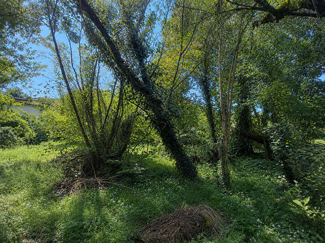 Maison Monteils, une partie du terrain en zone constructible. - photo 10